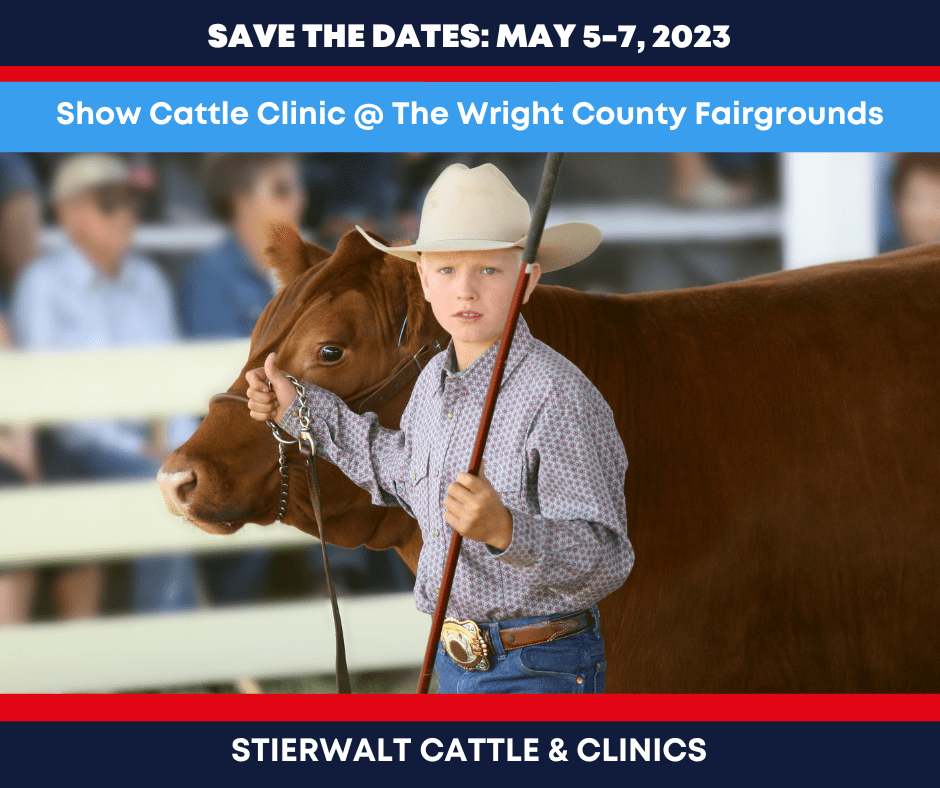 Show Cattle Clinic