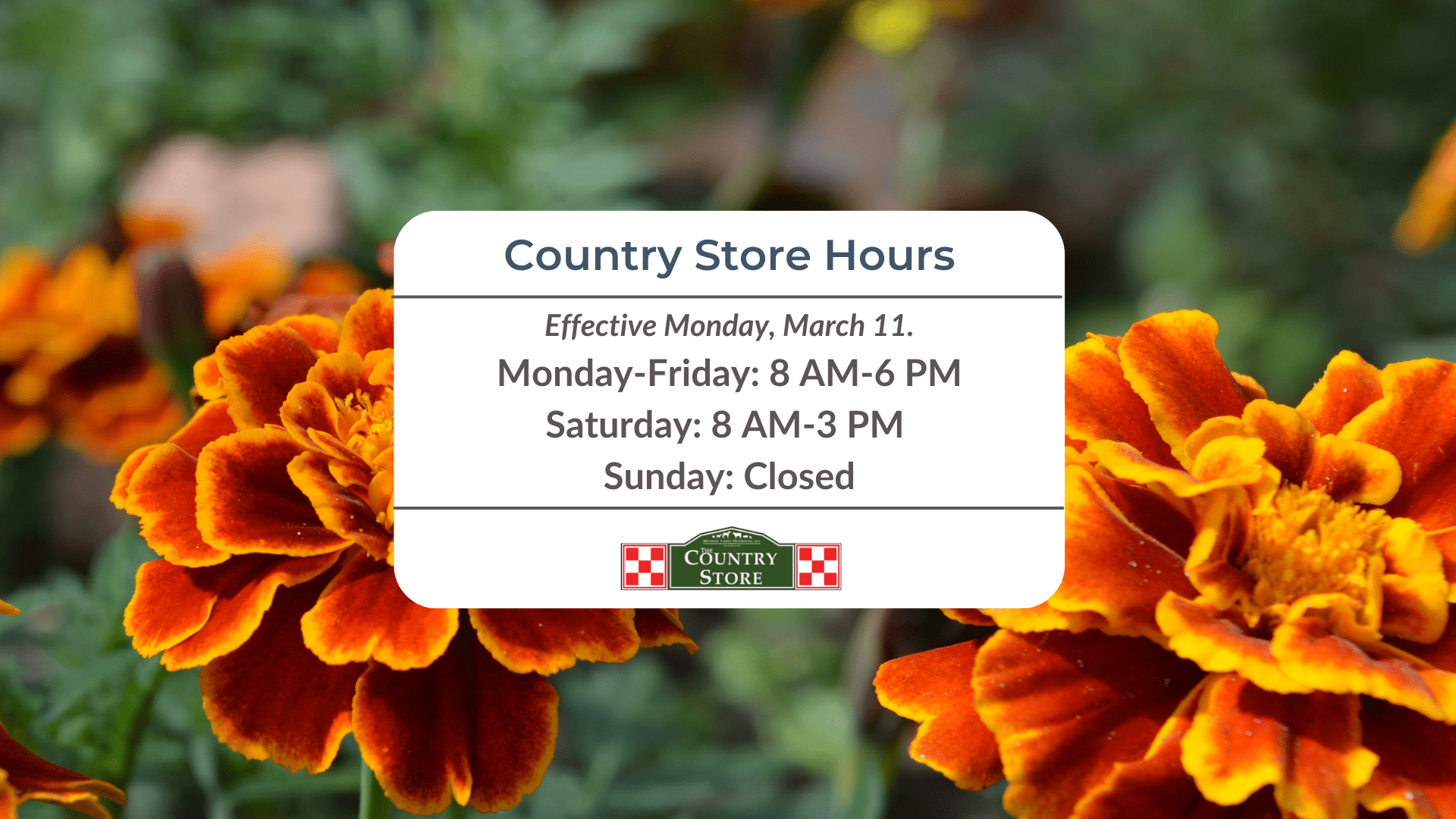 Country Store Spring Hours