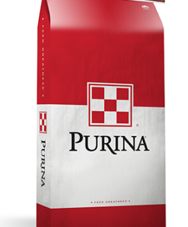 Purina Multi Purpose Poultry