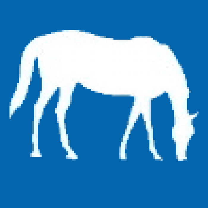 equine_110x110_blue